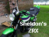Sheldon's ZRX